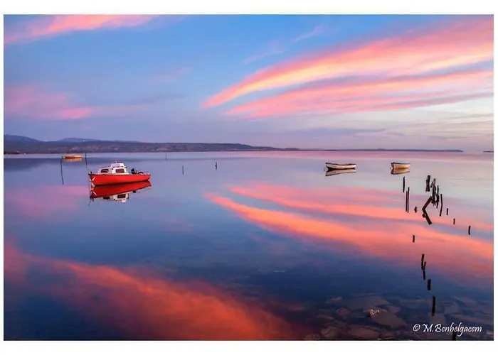 Calme Au Coeur De - 21 - Appartement Canet-en-Roussillon