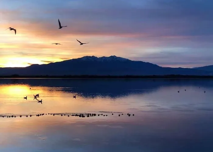 Calme Au Coeur De - 21 - Canet-en-Roussillon