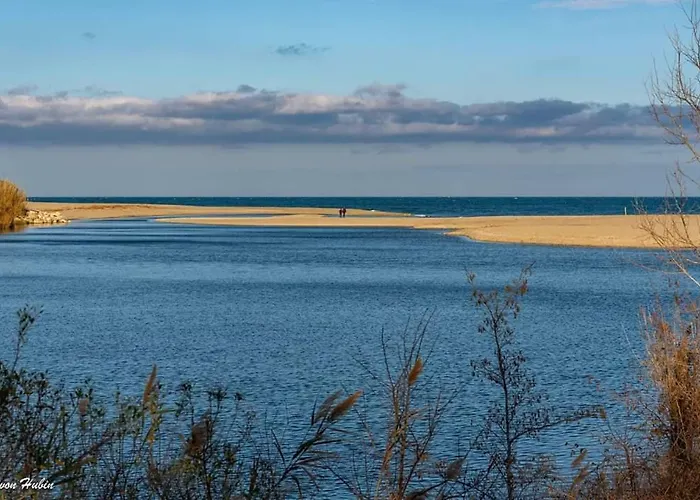 Calme Au Coeur De - 21 - Canet-en-Roussillon